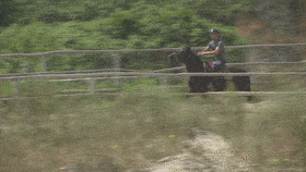 噩耗传来|3男子骑马冲进海里救起12岁男孩！半个月后，噩耗传来…