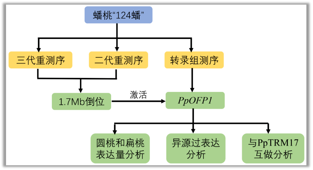什么是生产关系三要素 5f26930c9f544ac2b9bf7422584f8a71.png