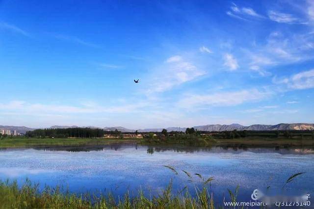 域美广灵——家乡湿地