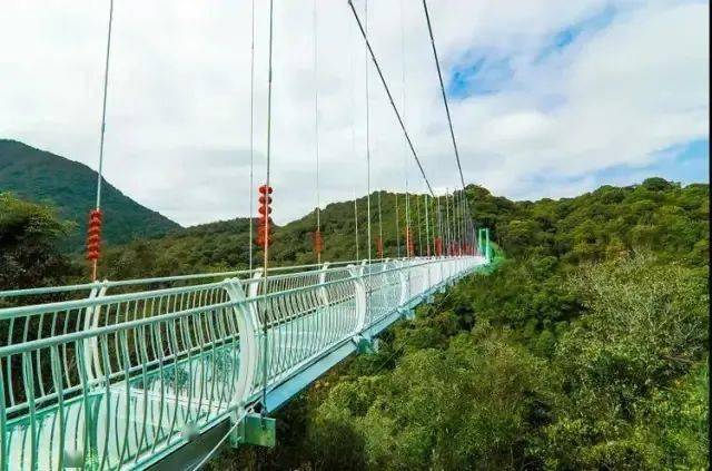 8月超值7d玻璃桥彩虹滑道玻璃漂流玻璃旱滑水上滚筒仅此一期只有40个
