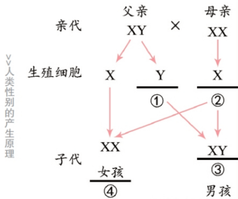 出生人口性别比正常值_刚出生的婴儿