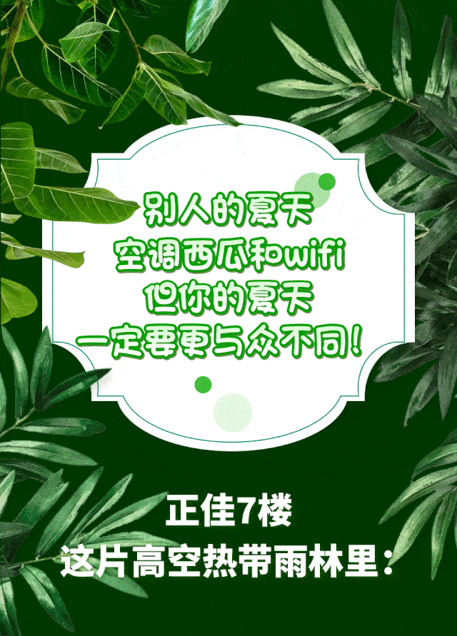 640_891 竖版 竖屏