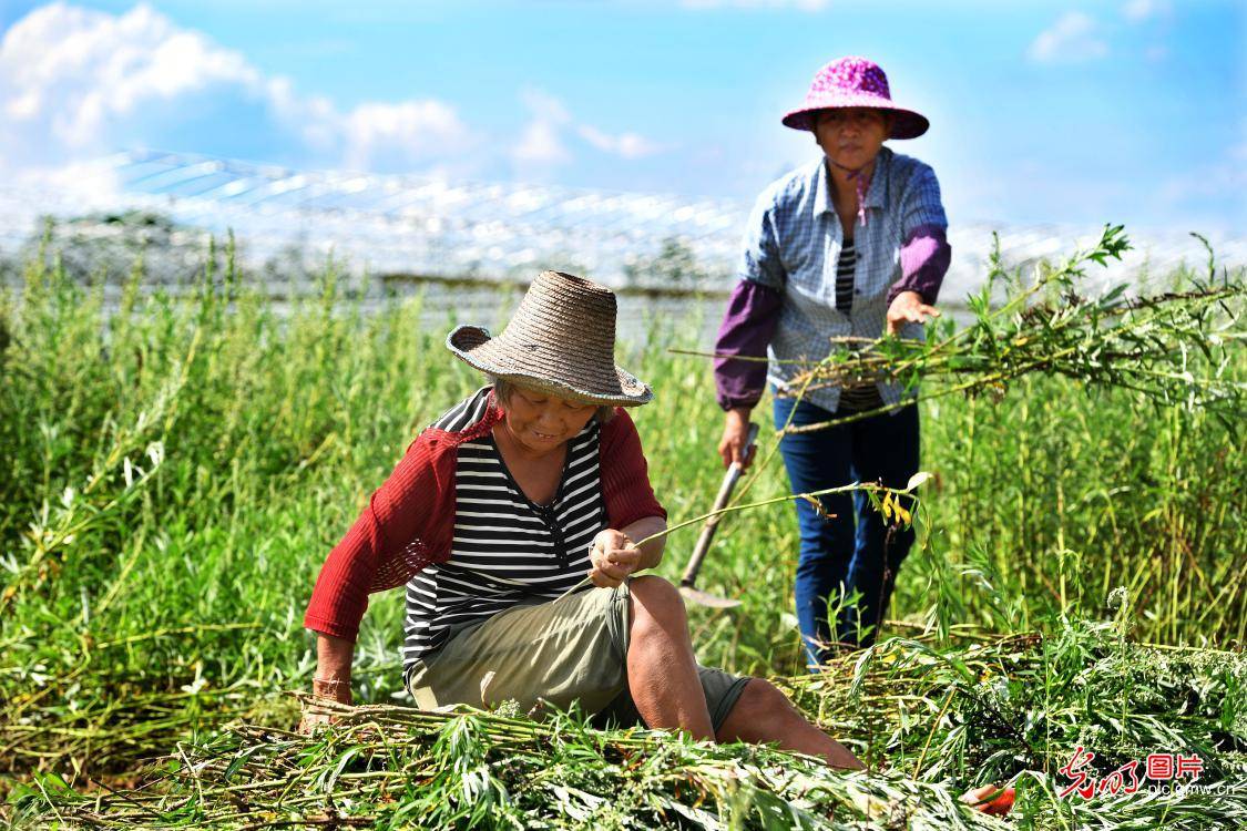 江西省丰城市小港镇GDp_丰城市小港镇村分布图