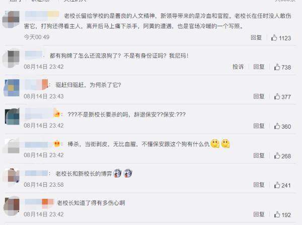 阿黄|痛心，老校长养5年流浪狗被保安杀害！校方：辞退