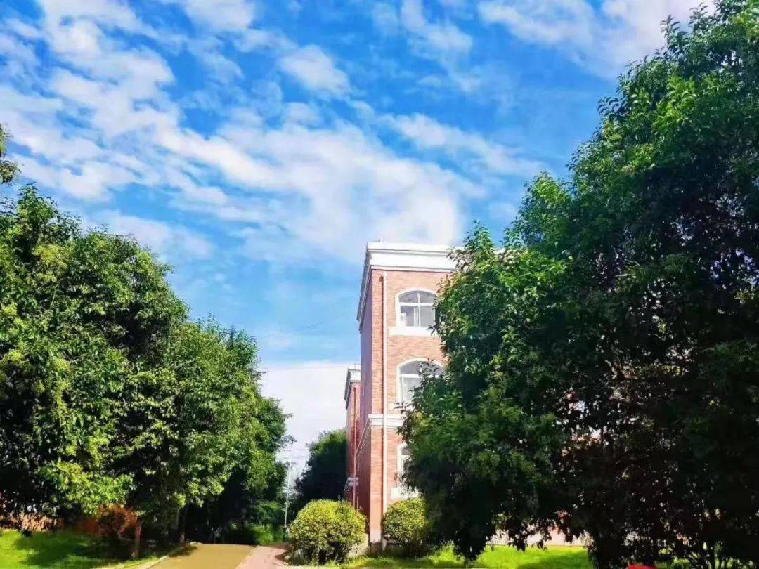 火车司机|补录通知：临沂地区火车司机5名、高铁乘务6名……初高中毕业生可报