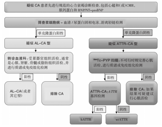 心脏|心脏淀粉样变合并心衰有5特征！加拿大声明