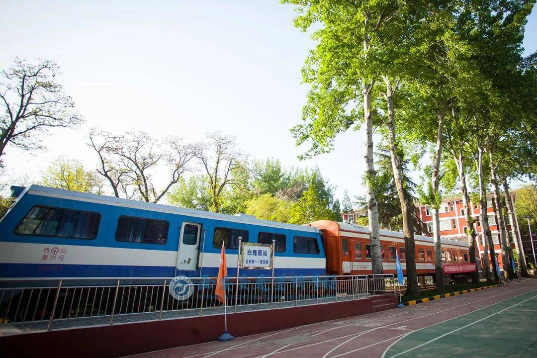 火车司机|补录通知：临沂地区火车司机5名、高铁乘务6名……初高中毕业生可报