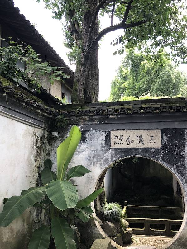 徐渭|名家论艺|了庐：天真烂漫的无为——中国写意画开拓者徐青藤