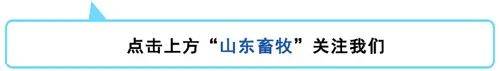 凌晖|猪肉价格还涨吗?粮食库存够吗?权威回应来了!