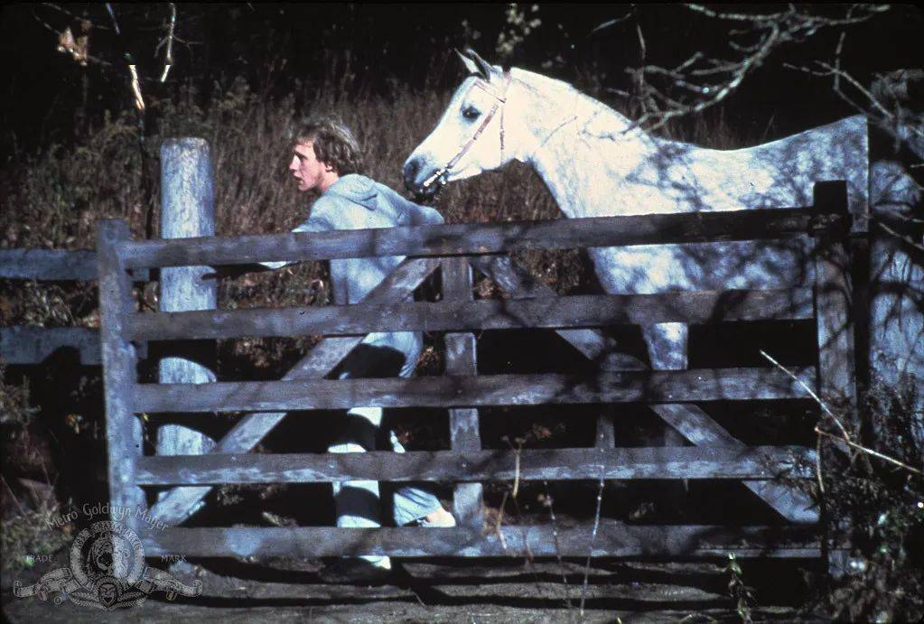 《恋马狂》equus,1977年《黑骏马》black beauty,1994年《轻骑兵》the