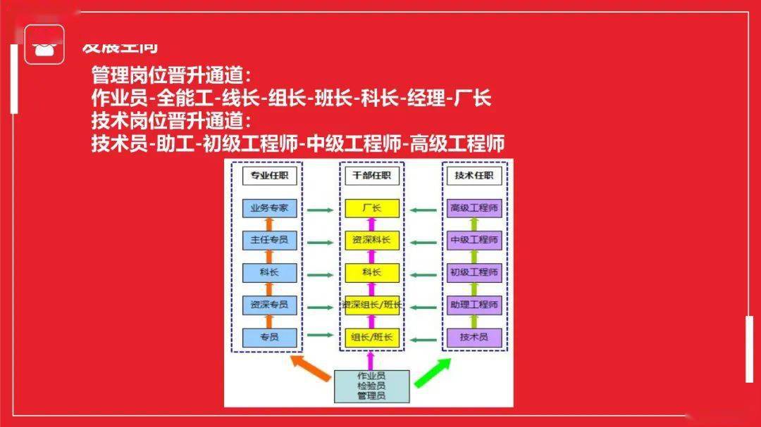 闻泰招聘_招聘 闻泰科技招聘公告(2)