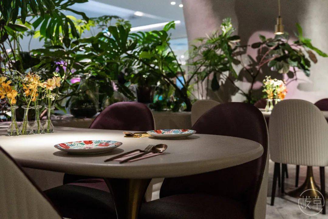 植物园|魔都也有了！帝都刷屏的“植物园餐厅”