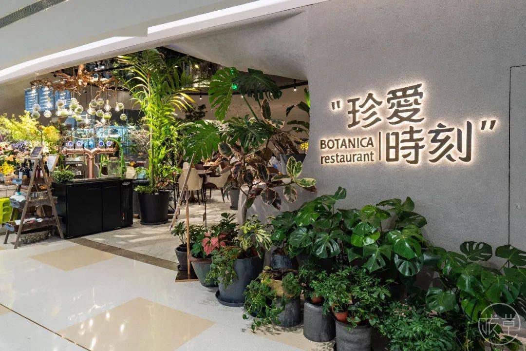 植物园|魔都也有了！帝都刷屏的“植物园餐厅”