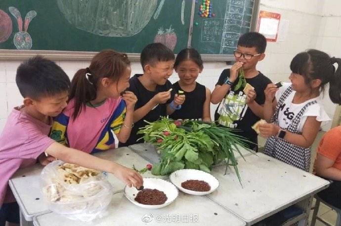 开心农场|学校里有个“开心农场”