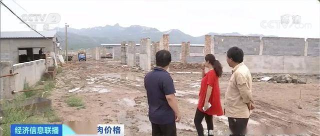 白万玉|养一头牛，纯赚5000元！牛肉价格连涨9周，达历史高位！还会再涨吗？