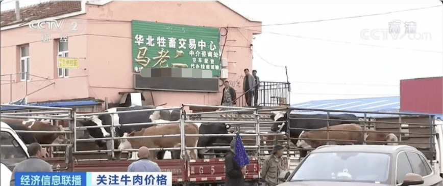 高位|养一头牛纯赚5000元！牛肉价格连涨9周达历史高位
