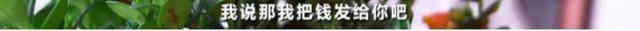 每粒|880元的微商减肥产品含禁药 每粒成本只有七八毛钱