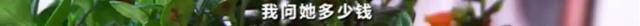 每粒|880元的微商减肥产品含禁药 每粒成本只有七八毛钱