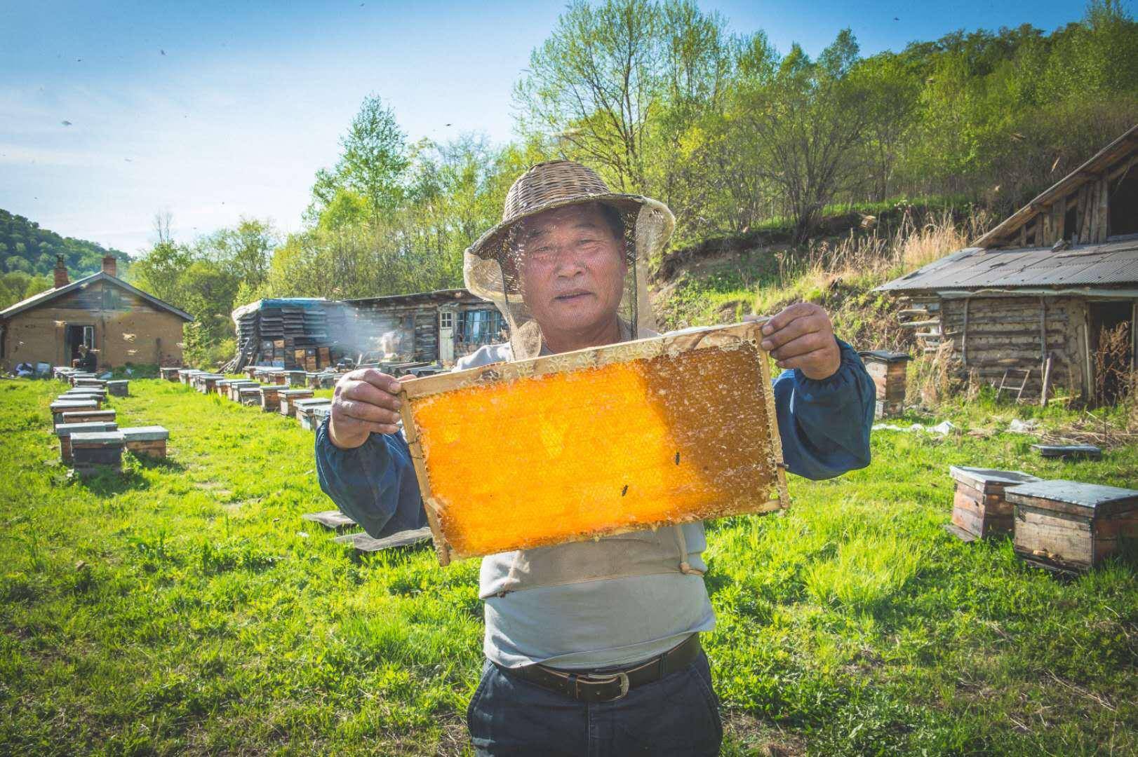 扶贫|中国企业扶贫故事 | 从跑步鸡到跑山猪——京东助农“造星”记