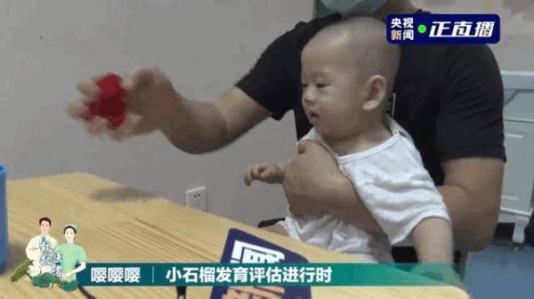 石榴|温暖又催泪的一天！小石榴与“亲人们”重逢了