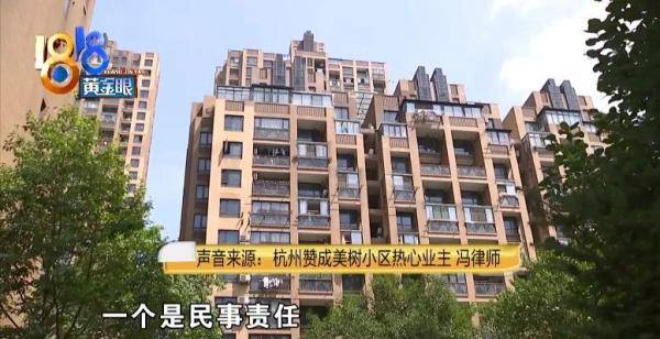 小区|刚刚甜瓜砸到人，又掉下一根一米多的管子，这个小区高空抛物竟成常态？