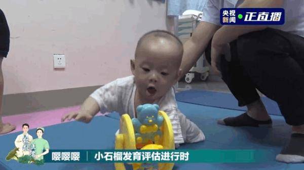 石榴|温暖又催泪的一天！小石榴与“亲人们”重逢了