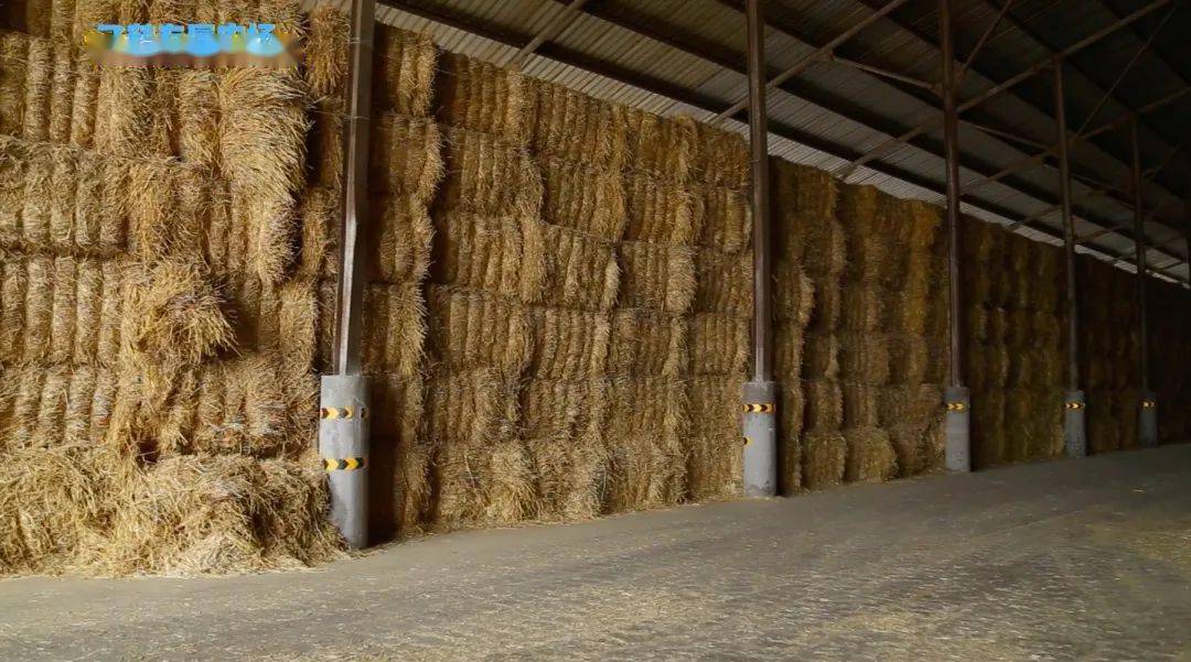 奶粉|看看咱们自己的飞鹤标准！新鲜在身边 | 飞鹤&中亿孕婴云溯源