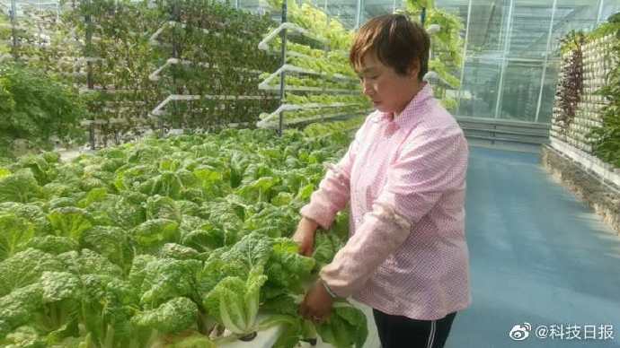 戈壁滩|“风吹石头跑，遍地不长草”还是你对戈壁滩的印象吗？