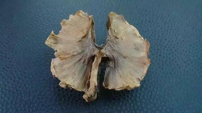 东西|这12种天天往出扔的东西居然是个宝，感觉自己扔了一个亿万万没想到