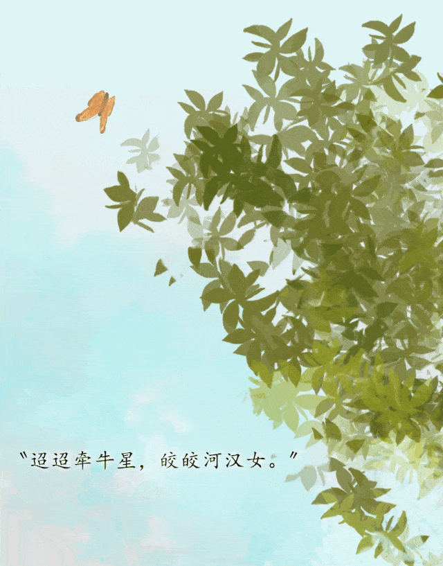 640_817 竖版 竖屏