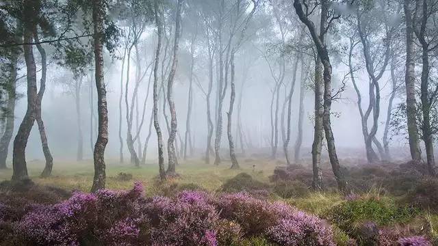 1664daee4f8d40b6867e82116f568fae.jpeg
