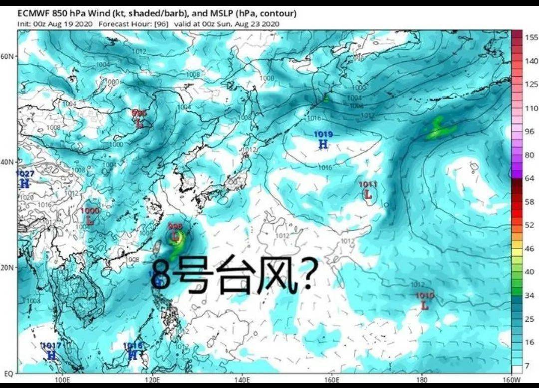 台风的人口_台风少年团(2)