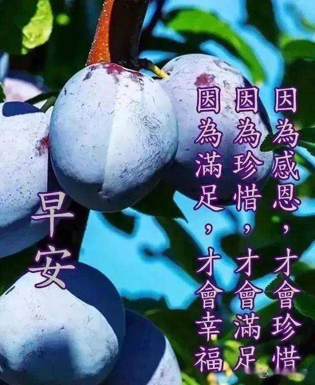 8月22日周六处暑清晨早上好问候祝福动态表情图片 8月