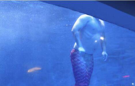 游泳|洛阳165斤小伙扮演油腻美人鱼走红，网友：实力证明游泳不能减肥