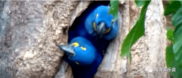 b33ff4cb96bb4d059698266202f0ec4f.png