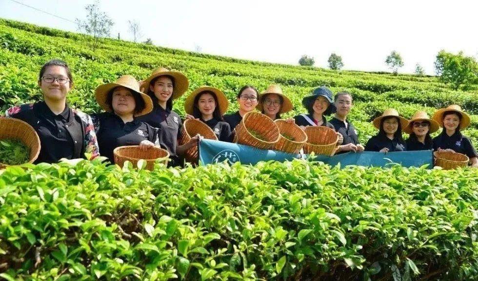 一天一点普洱1863云南公布十条非遗旅游线路从普洱出发开启滇西南逐味