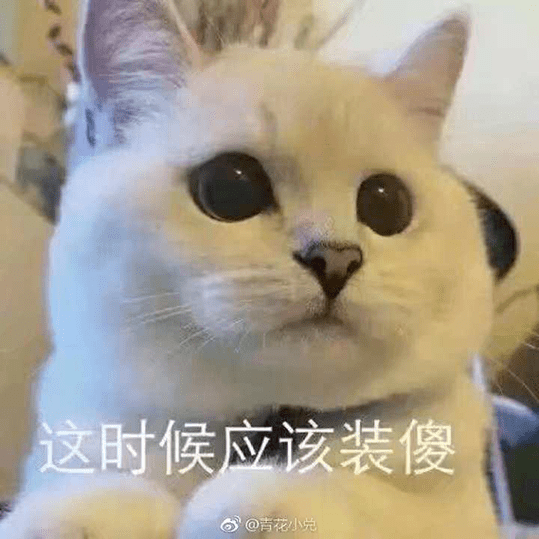 为什么这些小猫,又怂又乖?_表情