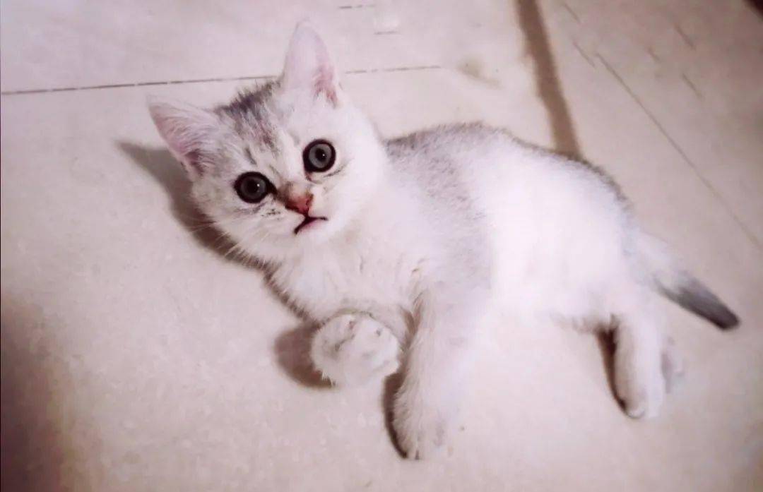 推理|玩儿剧本杀吗? 我们请你！