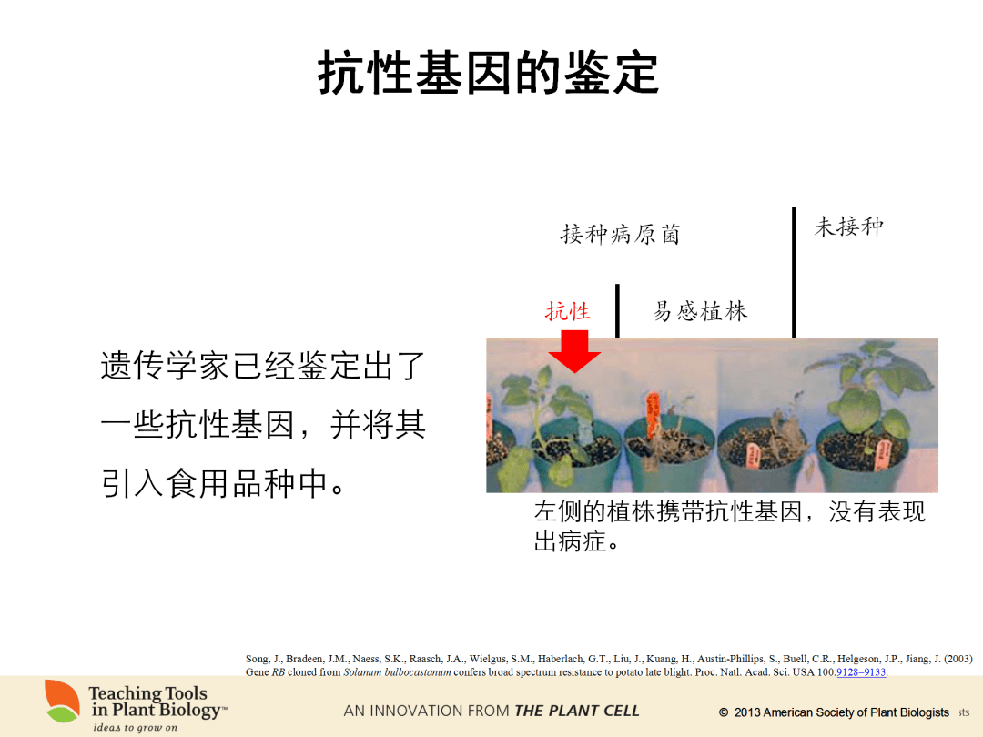 4d4fda67bf9e4705af8c29208f1009f8.png