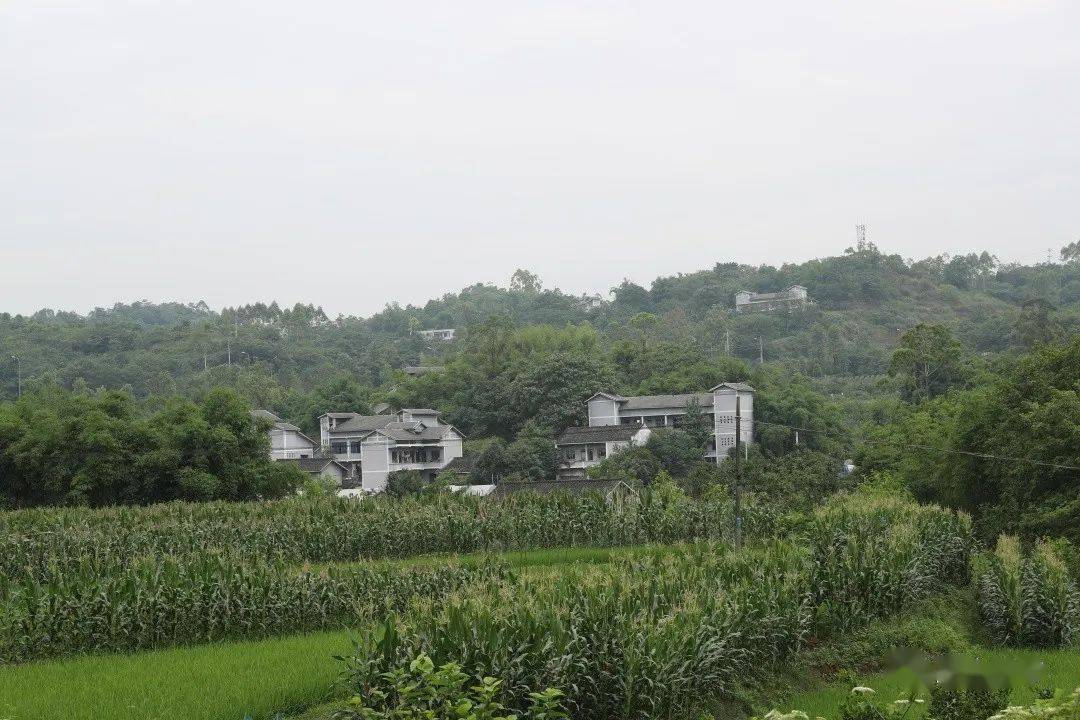 璧山人口有多少_璧山儿童公园(3)