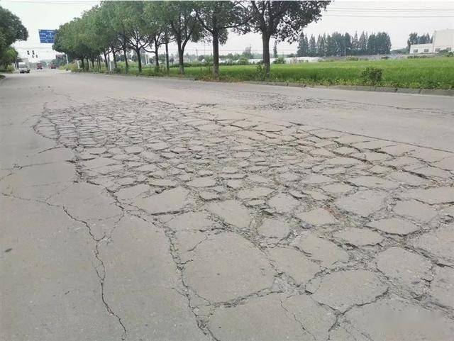 这两条路破得不成样了,谁来修修?