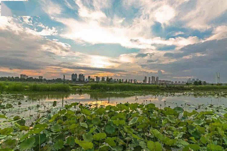 初秋汉中天汉湿地公园美景一览