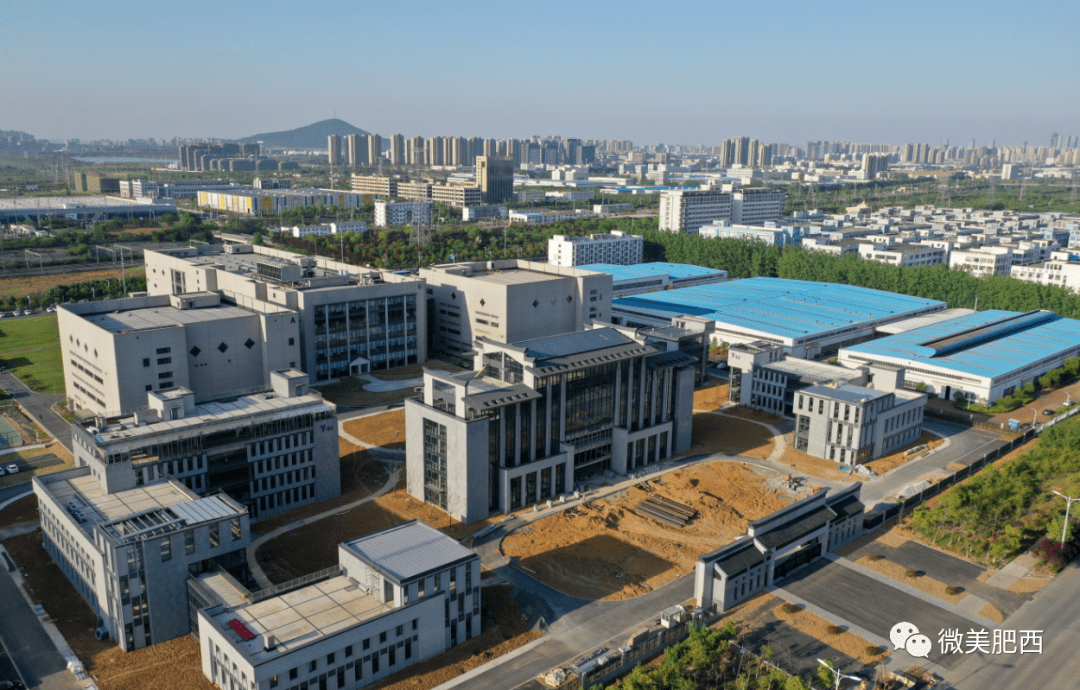 激发市场主体活力提升经济总量其中