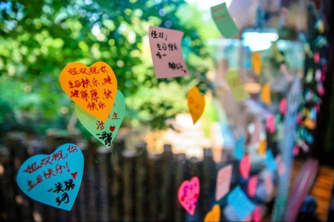 18岁怎么过生日才难忘 ae6689720e934010872ed0800d97d9a2.jpeg