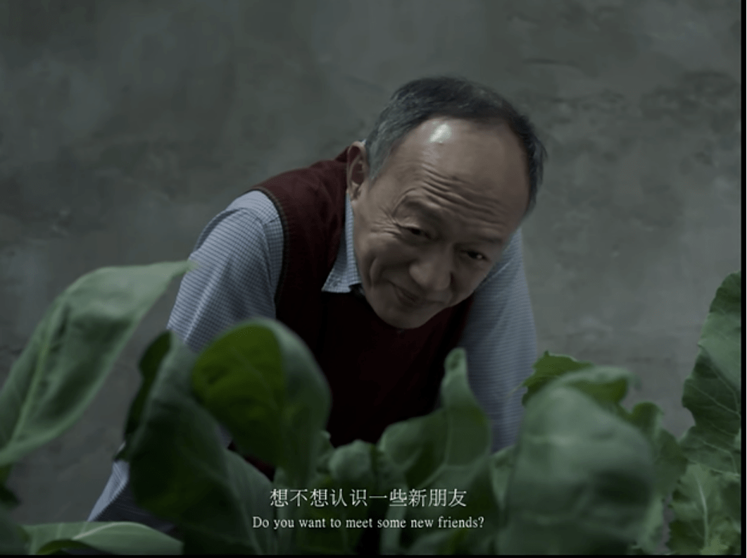 通知书|故乡只剩寒暑，再无春秋北大发放首批录取通知书：从此不见父母老去