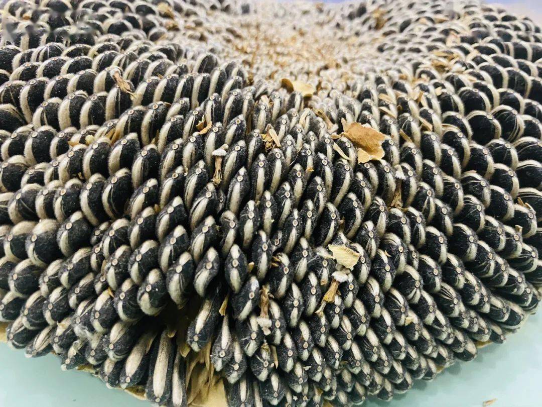 零食|好玩又好吃，网友却看得头皮发麻…姑娘自制零食