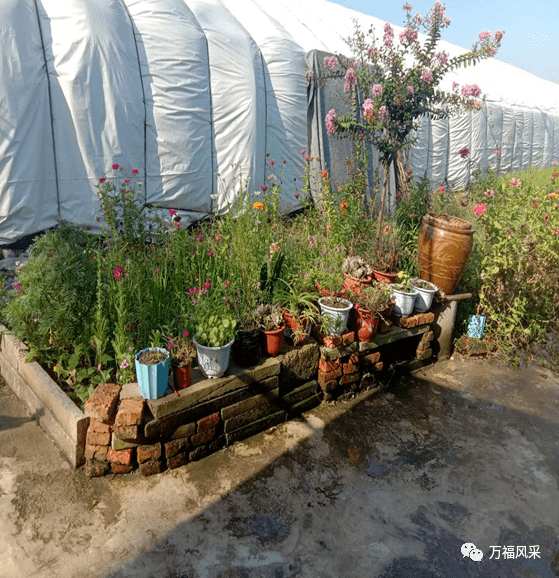 万福镇人口_吉安万福镇