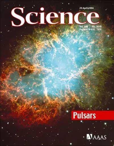 马斯克|开头颅插芯片？让马斯克疯狂的脑机接口究竟是什么？