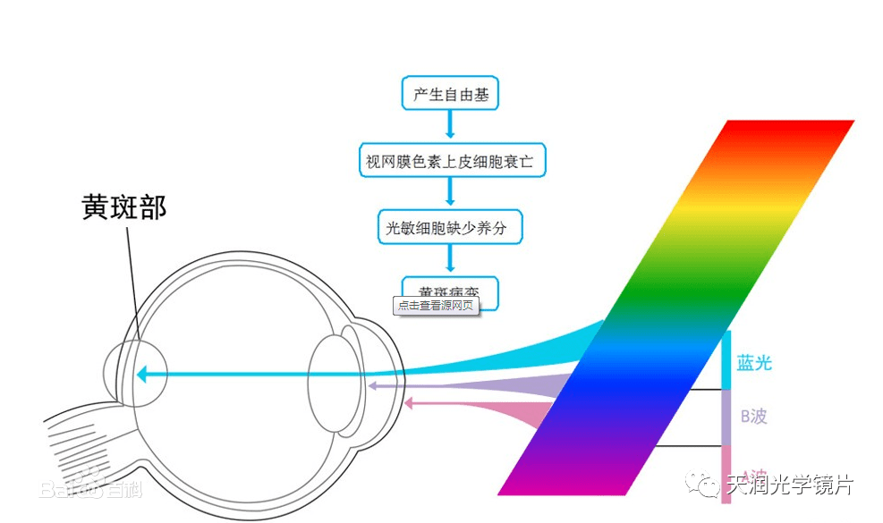 天润光学蓝光防护镜片系列产品