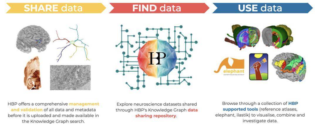 马斯克|开头颅插芯片？让马斯克疯狂的脑机接口究竟是什么？